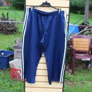 Blue/White Athletic Pants Women's